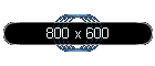 800 x 600
