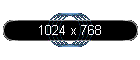 1024 x 768